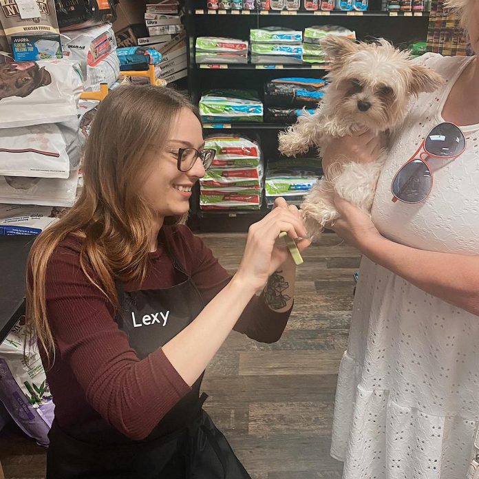 Groomer Lexy Bird trims a dog's nails during a nail trim clinic at the Bancroft Pet Valu, held monthly on the first Wednesday of each month. Nail trim clinics are now also available at the Bobcaygeon store on the second Wednesday of the month. (Photo courtesy of Nicole and Sean Courtney)