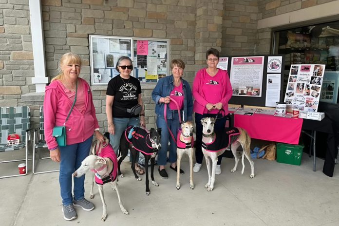 The Bobcaygeon Pet Valu supported the regional branch of Carlota Galgos Rescue Canada when it was located in Bobcaygeon. The non-profit organization that spreads awareness about the Galgo Español, which are Spanish hunting dogs that live in horrific conditions before being abandoned or killed when they are no longer used for hunting. (Photo courtesy of Nicole and Sean Courtney)