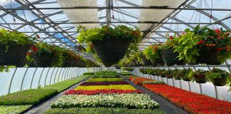 The Town of Cobourg is hosting its annual greenhouse tour and talk from 9 a.m. to 1 p.m. on May 10, 2025. (Photo: Town of Cobourg)