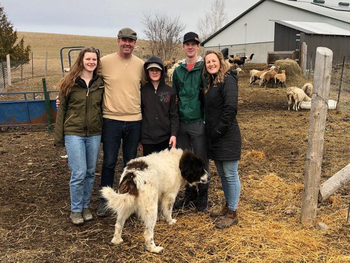 Originally founded in 1902, Woodleigh Farms is now managed by Norm and Emily Lamothe and their family. The regenerative farm currently grows soy, wheat, oat, and corn, and produces maple syrup, sells firewood and hay, raises livestock, and operates a market garden and year-round passive solar greenhouse. (Photo courtesy of Woodleigh Farms)