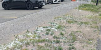 Particles of polystyrene foam "snow" along the Rotary trail in Peterborough's East City are the result of contractors sanding insulated concrete forms (ICF) being used in the construction of a six-storey building just north of Robinson Street where Megan Boyles lives. Boyles says the particles have been blown on her property as well as throughout the immediate neighbourhood. (Photo: Megan Boyles)