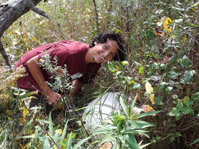 A giant puffball mushroom is discovered at the Camp Kawartha Environment Centre. (Photo courtesy of Camp Kawartha)