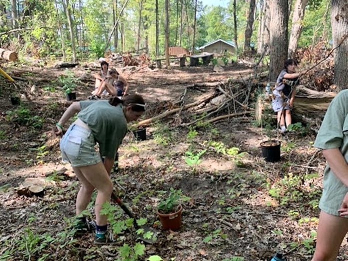 Summer campers planting trees at Camp Kawartha. True wealth could be measured in clean air and water, healthy soil, thriving ecosystemsm and citizens who come to care for and tend natural spaces. (Photo courtesy of Camp Kawartha)