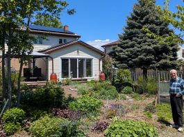 West-end Peterborough homeowner Ray Scott's backyard garden soaks up the sun on a bright May afternoon, and so do his rooftop solar panels. The panels produce enough electricity for him to power his home, store energy in batteries for backup storage, as well as charge his electric vehicles. The Home Energy and EV Expo at the McDonnel Street Activity Centre on June 14, 2025 will feature homeowners such as Ray, who will share their experiences they've had on their electrification journeys. (Photo: Clara Blakelock / GreenUP)