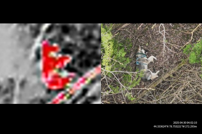 Thermal drones are used by volunteers of Tail Trackers Kawartha to locate lost pets, in addition to trail cameras and humane traps. The grassroots organization also uses a web app with a map marking where pets have been lost, and offers support and education for owners whose pets have gone missing. (Photo courtesy of Tail Trackers Kawartha)