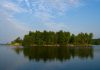 Leading up to the Kawartha Land Trust's 25th anniversary in 2026, the land conservation charity is celebrating 20 years of protecting East Syndicate Island, the largest undeveloped island on Stony Lake. One of the first properties protected by Kawartha Land Trust, the five-acre property off the northern shore of the lake is home to diverse ecosystems that provide habitat for at-risk species including bats and turtles. (Photo courtesy of Kawartha Land Trust)