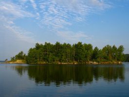 Leading up to the Kawartha Land Trust's 25th anniversary in 2026, the land conservation charity is celebrating 20 years of protecting East Syndicate Island, the largest undeveloped island on Stony Lake. One of the first properties protected by Kawartha Land Trust, the five-acre property off the northern shore of the lake is home to diverse ecosystems that provide habitat for at-risk species including bats and turtles. (Photo courtesy of Kawartha Land Trust)