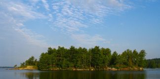 Leading up to the Kawartha Land Trust's 25th anniversary in 2026, the land conservation charity is celebrating 20 years of protecting East Syndicate Island, the largest undeveloped island on Stony Lake. One of the first properties protected by Kawartha Land Trust, the five-acre property off the northern shore of the lake is home to diverse ecosystems that provide habitat for at-risk species including bats and turtles. (Photo courtesy of Kawartha Land Trust)