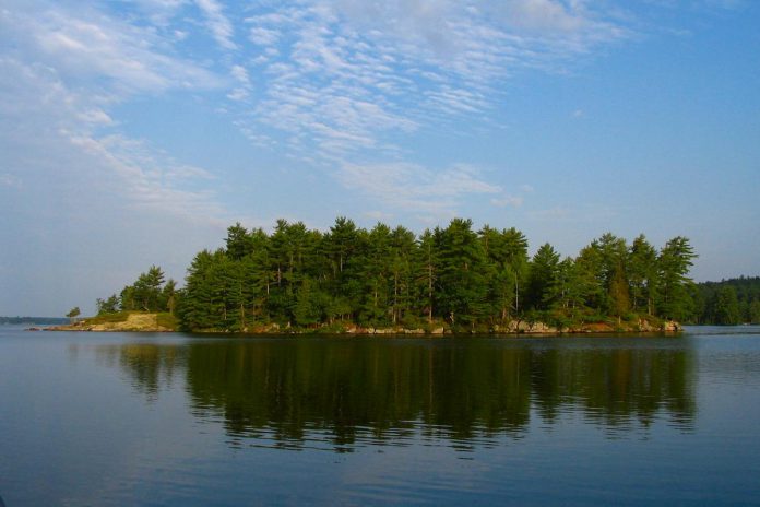 Leading up to the Kawartha Land Trust's 25th anniversary in 2026, the land conservation charity is celebrating 20 years of protecting East Syndicate Island, the largest undeveloped island on Stony Lake. One of the first properties protected by Kawartha Land Trust, the five-acre property off the northern shore of the lake is home to diverse ecosystems that provide habitat for at-risk species including bats and turtles. (Photo courtesy of Kawartha Land Trust) Leading up to the Kawartha Land Trust's 25th anniversary in 2026, the land conservation charity is celebrating 20 years of protecting East Syndicate Island, the largest undeveloped island on Stony Lake. One of the first properties protected by Kawartha Land Trust, the five-acre property off the northern shore of the lake is home to diverse ecosystems that provide habitat for at-risk species including bats and turtles. (Photo courtesy of Kawartha Land Trust)
