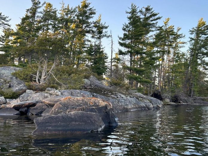 East Syndicate Island on Stony Lake is a property of geological interest, marking the transition between the limestone bedrock found in Southern Ontario and the granite bedrock of Northern Ontario. One of the first properties to be protected by Kawartha Land Trust, the island offers biologically diverse ecosystems, with its forests and rocky shores providing habitats for at-risk species including the tri-colored bat and the Northern map turtle. (Photo: Ed Duncan)