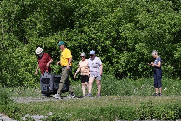 Pete Hewett and Steve Paul hold a carrier containing Lydia the trumpeter swan on June 15, 2025 before releasing the bird at the same spot where it was captured 11 days earlier and transported to Shades of Hope Wildlife Refuge in Pefferlaw. Also present for the release were (left to right), Jennifer Semple, Victoria Koppin, and Karen Hjort-Jensen. Not pictured are Amy Semple and Mike McKay. (Photo: Mike McKay)