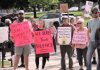 Some of the signs held by a crowd of around 75 people attending the "Rally for Integrity" outside of Peterborough City Hall on June 9, 2025, urging city councillors to hold Mayor Jeff Leal to account for breaching council's code of conduct by intimidating councillor Alex Bierk and then bullying councillor Joy Lachica as reported by the city's integrity commissioner. (Photo: Jeannine Taylor / kawarthaNOW)
