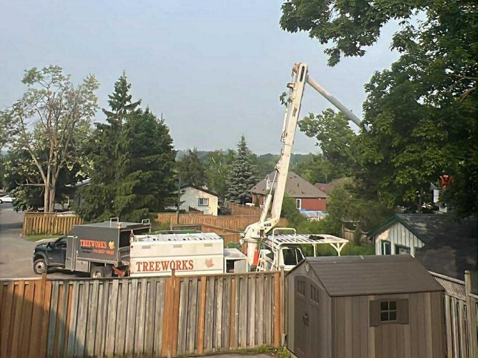 Trees being removed at the Cameron House property, the proposed location of Brock Mission's six-storey building at 738 Chemong Road in Peterborough, on June 5, 2025. The work is going ahead despite a legal action against the City of Peterborough challenging the approval of the project. (Photo: Julie Gray)
