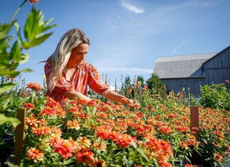 Claudia MacDonald is the owner and founder of Heritage Blooms U Pick Flower Farm in the Township of Asphodel-Norwood. She, her husband Ben, and their three children moved to the farm in 2021 to raise grass-fed cattle for Ben's family business, Heritage Cattle Co., but Claudia was in search of ways to beautify the 96-acre property while exploring her creative side. It led to the establishment of 12 no-till beds which now grow hundreds of varieties of flowers used to make curated bouquets and for pick-your-own experiences. (Photo courtesy of Heritage Blooms U Pick Flower Farm)