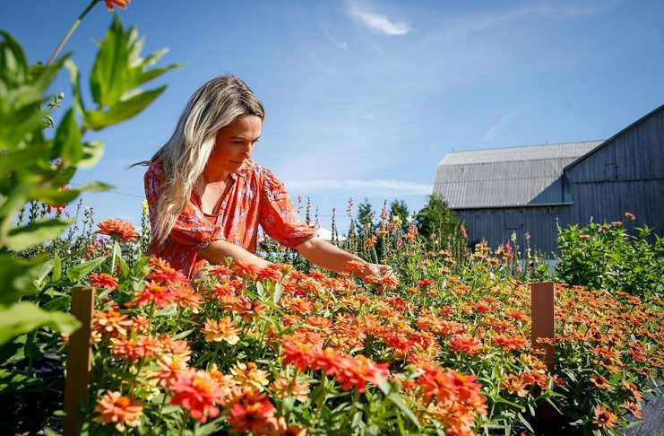 Claudia MacDonald is the owner and founder of Heritage Blooms U Pick Flower Farm in the Township of Asphodel-Norwood. She, her husband Ben, and their three children moved to the farm in 2021 to raise grass-fed cattle for Ben's family business, Heritage Cattle Co., but Claudia was in search of ways to beautify the 96-acre property while exploring her creative side. It led to the establishment of 12 no-till beds which now grow hundreds of varieties of flowers used to make curated bouquets and for pick-your-own experiences. (Photo courtesy of Heritage Blooms U Pick Flower Farm)