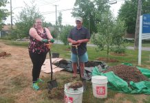 Peterborough community orchard stewards Lynn Jondreville and Ray Jordan plant a pear tree at the Dominion Park orchard. New trees planted in local orchards in the spring, including plum, cherry and pear, replaced some damaged by rabbits and also expanded on the existing apple varieties. (Photo: Laura Keresztesi / GreenUP)