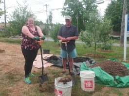Peterborough community orchard stewards Lynn Jondreville and Ray Jordan plant a pear tree at the Dominion Park orchard. New trees planted in local orchards in the spring, including plum, cherry and pear, replaced some damaged by rabbits and also expanded on the existing apple varieties. (Photo: Laura Keresztesi / GreenUP)