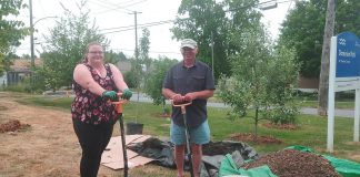 Peterborough community orchard stewards Lynn Jondreville and Ray Jordan plant a pear tree at the Dominion Park orchard. New trees planted in local orchards in the spring, including plum, cherry and pear, replaced some damaged by rabbits and also expanded on the existing apple varieties. (Photo: Laura Keresztesi / GreenUP)