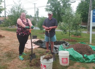 Peterborough community orchard stewards Lynn Jondreville and Ray Jordan plant a pear tree at the Dominion Park orchard. New trees planted in local orchards in the spring, including plum, cherry and pear, replaced some damaged by rabbits and also expanded on the existing apple varieties. (Photo: Laura Keresztesi / GreenUP)