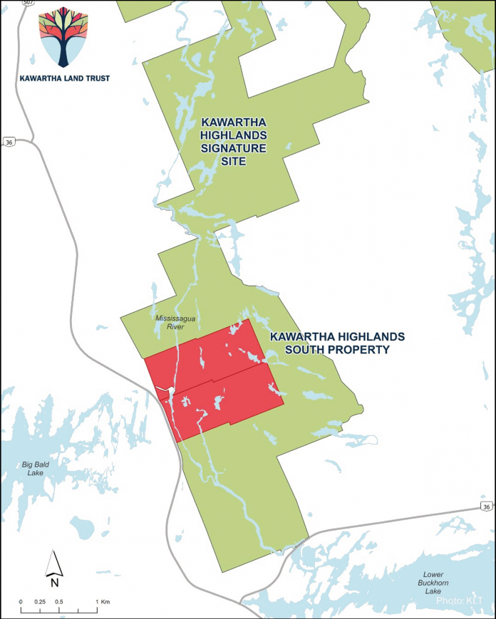 The 435-acre Kawartha Highlands South property is bounded on three sides by the southern end of Kawartha Highlands Provincial Park, a popular destination for outdoor enthusiasts. (Image: Kawartha Land Trust)