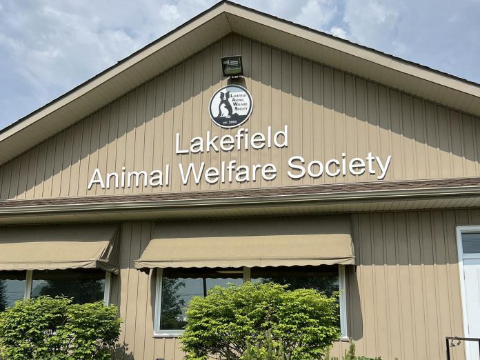 The Lakefield Animal Welfare Society (LAWS) has become the first living wage employer in Selwyn Township to receive certification from the Ontario Living Wage Network, joining 14 other workplaces in Peterborough and the Kawartha Lakes region and one of only seven organizations in Ontario's animal welfare sector to receive the certification. (Photo: LAWS) The Lakefield Animal Welfare Society (LAWS) has become the first living wage employer in Selwyn Township to receive certification from the Ontario Living Wage Network, joining 14 other workplaces in Peterborough and the Kawartha Lakes region and one of only seven organizations in Ontario's animal welfare sector to receive the certification. (Photo: LAWS)