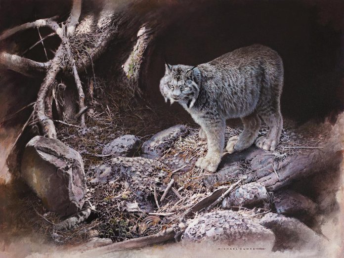 "After the Storm", an oil painting by Buckhorn artist Michael Dumas that depicts a Canadian Lynx in an environment affected by climate change, won the Artists for Conservation Seerey-Lester Award of Excellence in 2024. "Of Light and Life" is a retrospective exhibition of five decades of Dumas' work at the Minden Hills Cultural Centre's Agnes Jamieson Gallery from July 17 to September 13, 2025, with an opening reception featuring the artist on Saturday, July 19. (Photo courtesy of Michael Dumas) "After the Storm", an oil painting by Buckhorn artist Michael Dumas that depicts a Canadian Lynx in an environment affected by climate change, won the Artists for Conservation Seerey-Lester Award of Excellence in 2024. "Of Light and Life" is a retrospective exhibition of five decades of Dumas' work at the Minden Hills Cultural Centre's Agnes Jamieson Gallery from July 17 to September 13, 2025, with an opening reception featuring the artist on Saturday, July 19. (Photo courtesy of Michael Dumas)