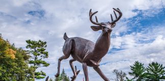A statue of a buck (male deer) welcomes visitors to Buckhorn, the heart of The Kawarthas, located in the southwest corner of the Municipality of Trent Lakes along Trent-Severn Waterway. The buck statue is located in the parking lot leading to Lock 31, one of the busiest locks on the waterway and a must-see attraction for the entire family when taking a road trip through Trent Lakes. (Photo: The Kawarthas Tourism)