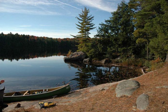 Kawartha Highlands Signature Site is a personal favourite of Trent Lakes Mayor Terry Lambshead, who has hiked and fished there for his entire life. Dip your paddle into one of the park's lakes, accessible from many backcountry access points in Trent Lakes. To extend your stay, book one of more than 100 backcountry camping sites, where you'll fall asleep beneath the stars to the sounds of the many bird species that thrive within the park's rock barrens. (Photo: Ontario Parks)