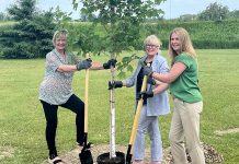 Selwyn Township mayor Sherry Senis, Peterborough County warden Bonnie Clark, and Hydro One communications and marketing vice president and Bronwen Evans planting a tree at Paul J. English Chemung Lions Park in Bridgenorth on June 16, 2025 when Hydro One announced that Selwyn Township is one of 50 municipalities and Indigenous communities in Ontario that would receive up to $10,000 to assist in recovery efforts from March's devastating ice storm. (Photo: Hydro One)