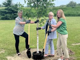 Selwyn Township mayor Sherry Senis, Peterborough County warden Bonnie Clark, and Hydro One communications and marketing vice president and Bronwen Evans planting a tree at Paul J. English Chemung Lions Park in Bridgenorth on June 16, 2025 when Hydro One announced that Selwyn Township is one of 50 municipalities and Indigenous communities in Ontario that would receive up to $10,000 to assist in recovery efforts from March's devastating ice storm. (Photo: Hydro One)