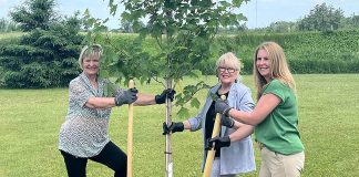 Selwyn Township mayor Sherry Senis, Peterborough County warden Bonnie Clark, and Hydro One communications and marketing vice president and Bronwen Evans planting a tree at Paul J. English Chemung Lions Park in Bridgenorth on June 16, 2025 when Hydro One announced that Selwyn Township is one of 50 municipalities and Indigenous communities in Ontario that would receive up to $10,000 to assist in recovery efforts from March's devastating ice storm. (Photo: Hydro One)
