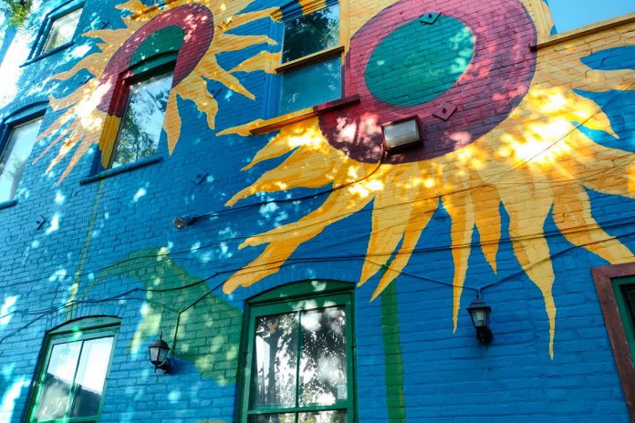 The Only Café in Peterborough will celebrate the revitalized sunflower mural, original painted by Jeremy Moore and restored by brother-and-sister team Zephyr and Trinity Bugelli, during a 35th anniversary celebration on the patio later in summer 2025. (Photo: Zach Ward)