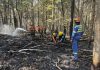 Crews fighting the HAL019 fire east of Burnt River in Kawartha Lakes. By the end of the day on August 13, 2025, the fire's status had been upgraded from "out of control" to "being held," which means fire crews have established a boundary around the fire and are confident the fire will not escape that boundary. (Photo: City of Kawartha Lake
