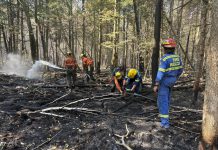 Crews fighting the HAL019 fire east of Burnt River in Kawartha Lakes. By the end of the day on August 13, 2025, the fire's status had been upgraded from "out of control" to "being held," which means fire crews have established a boundary around the fire and are confident the fire will not escape that boundary. (Photo: City of Kawartha Lake