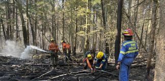 Crews fighting the HAL019 fire east of Burnt River in Kawartha Lakes. By the end of the day on August 13, 2025, the fire's status had been upgraded from "out of control" to "being held," which means fire crews have established a boundary around the fire and are confident the fire will not escape that boundary. (Photo: City of Kawartha Lake