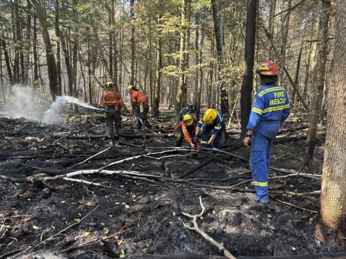 Crews fighting the HAL019 fire east of Burnt River in Kawartha Lakes. By the end of the day on August 13, 2025, the fire's status had been upgraded from "out of control" to "being held," which means fire crews have established a boundary around the fire and are confident the fire will not escape that boundary. (Photo: City of Kawartha Lake