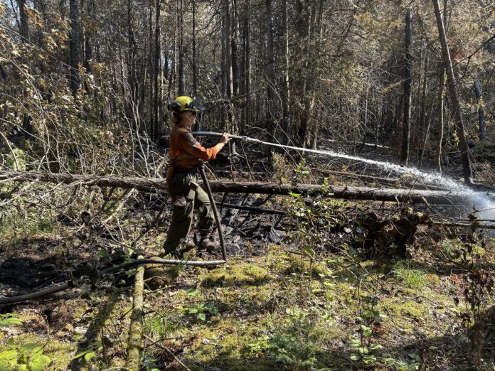 A firefighter working on the HAL019 fire east of Burnt River in Kawartha Lakes. (Photo: City of Kawartha Lakes)
