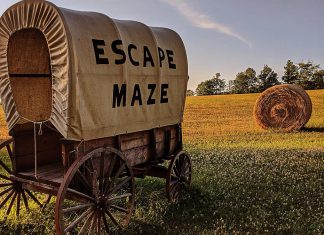 Located on the Preddy family farm in the Township of Otonabee-South Monaghan in Peterborough County, Escape Maze is an entertainment facility that offers indoor and outdoor escape rooms and mazes, laser tag, haunts, camping, and disc golf. The family-owned business supports the local economy by designing attractions for local businesses and including them in some of their activities. In return, many local businesses participate in activities and host team-building exercises at Escape Maze. (Photo courtesy of Escape Maze)
