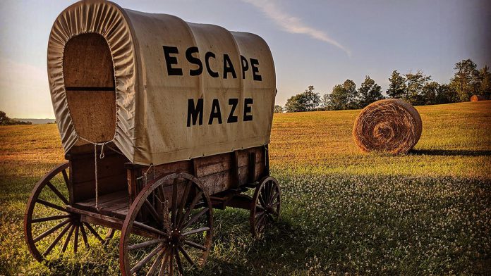 Located on the Preddy family farm in the Township of Otonabee-South Monaghan in Peterborough County, Escape Maze is an entertainment facility that offers indoor and outdoor escape rooms and mazes, laser tag, haunts, camping, and disc golf. The family-owned business supports the local economy by designing attractions for local businesses and including them in some of their activities. In return, many local businesses participate in activities and host team-building exercises at Escape Maze. (Photo courtesy of Escape Maze)