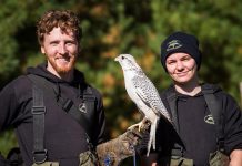 Matthew and Kristin Morgan and her husband Matthew are the owners of The Eyrie, a birds of prey facility near Apsley in North Kawartha Township that provides educational outreach and hosts demonstrations at their facility with the aim of providing interactions with raptors that inspire conservation. This past winter, the couple was flooded with support from the local community after they lost buildings due to weather and many of their raptors were poisoned. (Photo courtesy of The Eyrie)