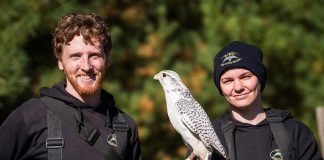 Matthew and Kristin Morgan and her husband Matthew are the owners of The Eyrie, a birds of prey facility near Apsley in North Kawartha Township that provides educational outreach and hosts demonstrations at their facility with the aim of providing interactions with raptors that inspire conservation. This past winter, the couple was flooded with support from the local community after they lost buildings due to weather and many of their raptors were poisoned. (Photo courtesy of The Eyrie)