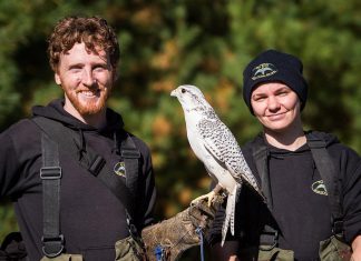 Matthew and Kristin Morgan and her husband Matthew are the owners of The Eyrie, a birds of prey facility near Apsley in North Kawartha Township that provides educational outreach and hosts demonstrations at their facility with the aim of providing interactions with raptors that inspire conservation. This past winter, the couple was flooded with support from the local community after they lost buildings due to weather and many of their raptors were poisoned. (Photo courtesy of The Eyrie)