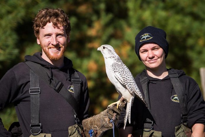 Matthew and Kristin Morgan and her husband Matthew are the owners of The Eyrie, a birds of prey facility near Apsley in North Kawartha Township that provides educational outreach and hosts demonstrations at their facility with the aim of providing interactions with raptors that inspire conservation. This past winter, the couple was flooded with support from the local community after they lost buildings due to weather and many of their raptors were poisoned. (Photo courtesy of The Eyrie) Matthew and Kristin Morgan and her husband Matthew are the owners of The Eyrie, a birds of prey facility near Apsley in North Kawartha Township that provides educational outreach and hosts demonstrations at their facility with the aim of providing interactions with raptors that inspire conservation. This past winter, the couple was flooded with support from the local community after they lost buildings due to weather and many of their raptors were poisoned. (Photo courtesy of The Eyrie)