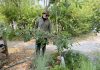 Jonathon Armstrong, GreenUP native plant nursery assistant, waters a young tree at Ecology Park. There are many tips for proper tree-watering during hot, dry weather, such as watering at the drip line at least two to three times a week. (Photo: Hayley Goodchild / GreenUP)