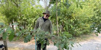 Jonathon Armstrong, GreenUP native plant nursery assistant, waters a young tree at Ecology Park. There are many tips for proper tree-watering during hot, dry weather, such as watering at the drip line at least two to three times a week. (Photo: Hayley Goodchild / GreenUP)