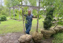Vern Bastable, past director of GreenUP Ecology Park, has been a trusted authority and tireless advocate for all things trees. Through his 13-plus year tenure with GreenUP has come to an end, his "leafy" legacy will live on in Ecology Park and beyond. (Photo: Haley Goodchild / GreenUP)