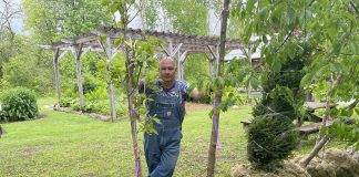 Vern Bastable, past director of GreenUP Ecology Park, has been a trusted authority and tireless advocate for all things trees. Through his 13-plus year tenure with GreenUP has come to an end, his "leafy" legacy will live on in Ecology Park and beyond. (Photo: Haley Goodchild / GreenUP)