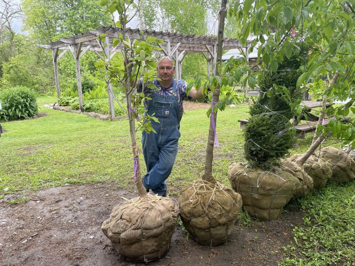 Vern Bastable, past director of GreenUP Ecology Park, has been a trusted authority and tireless advocate for all things trees. Through his 13-plus year tenure with GreenUP has come to an end, his "leafy" legacy will live on in Ecology Park and beyond. (Photo: Haley Goodchild / GreenUP)