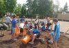 Schoolyard greening projects led by GreenUP include playful, hands-on, educational opportunities for students to plant trees, shrubs, and fruit at their school. As part of the "Reconciling with the Land" initiative, students at St. John Catholic Elementary School in Peterborough were eager to work as a class, adding compost and mulch to areas where they planted trees, shrubs, and berry bushes. (Photo: GreenUP)