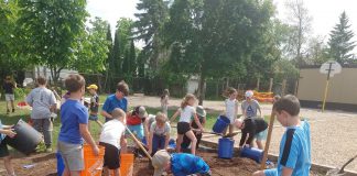 Schoolyard greening projects led by GreenUP include playful, hands-on, educational opportunities for students to plant trees, shrubs, and fruit at their school. As part of the "Reconciling with the Land" initiative, students at St. John Catholic Elementary School in Peterborough were eager to work as a class, adding compost and mulch to areas where they planted trees, shrubs, and berry bushes. (Photo: GreenUP)